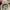 Adidas Sportswear Casual Sneakers Pria white photo 7