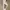 Adidas Sportswear Casual Sneakers Pria white photo 5