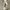 Adidas Sportswear Casual Sneakers Pria white photo 3