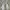 Adidas Sportswear Casual Sneakers Pria white photo 2