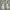 Adidas Sportswear Casual Sneakers Pria White