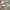Adidas Sportswear Casual Sneakers Pria white photo 1