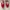 VANS Sportswear Casual Sneakers Pria red photo 1