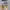 Sportswear Mini skirt Wanita gray photo 6
