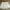 Lululemon Sportswear Mini skirt Wanita white photo 2