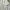Lululemon Sportswear Mini skirt Wanita white photo 5
