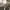 Lululemon Sportswear Mini skirt Wanita white photo 6