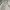 KIRSH Vintage Streetwear Cardigan Pria cream photo 4