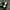 Adidas Indie Casual Sneakers Pria white black photo 6