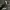 Adidas Indie Casual Sneakers Pria white black photo 5