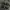 Adidas Indie Casual Sneakers Pria white black photo 3