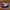 New Balance Sportswear Casual Sneakers Pria White
