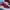 Puma Casual Sneakers Wanita burgundy white photo 2