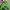 Casual Sweater Wanita green photo 2