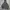 Vintage Minimalist Hoody Pria gray photo 5