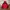 Pancoat Gorpcore Windbreaker Pria red photo 1
