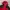 Pancoat Gorpcore Windbreaker Pria red photo 4