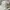 Sportswear Casual Hat Pria gray photo 2