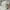 Sportswear Casual Hat Pria Gray