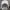 Sportswear Casual Hat Pria gray photo 5