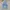 Streetwear Y2K Wide leg jeans Wanita white blue photo 4
