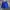 Champion Sportswear Short Pria blue photo 2