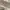 Charles and Keith Avant Garde Minimalist Heels Wanita white photo 3