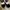 Adidas Biker Casual shoe Pria white black photo 2