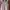 Polo Ralph Lauren Casual Fleece Kids pink photo 1
