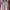 Polo Ralph Lauren Casual Fleece Kids Pink