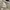 Converse Streetwear Luxury Sneakers Wanita tan brown photo 8