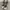 Converse Streetwear Luxury Sneakers Wanita tan brown photo 3