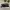 Nike Y2K Sportswear Sandals & slide Wanita white black photo 2