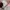 VANS Vintage Streetwear Sneakers Pria white red photo 8