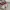 VANS Vintage Streetwear Sneakers Pria white red photo 5