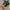 Asics Y2K Sportswear Sneakers Pria multicolor photo 3