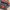 Asics Y2K Sportswear Sneakers Pria multicolor photo 7
