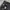 The North Face Y2K Casual Track jacket Pria black photo 5