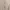 Tory Burch Luxury Minimalist Cardigan Wanita white photo 4