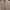 Tory Burch Luxury Minimalist Cardigan Wanita white photo 3
