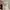 Tory Burch Luxury Minimalist Cardigan Wanita white photo 8