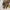 Vintage Y2K Pria gold photo 5