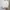 Spao Casual Cardigan Wanita white photo 1