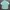 Lacoste Streetwear Casual Formal Shirt Pria Multicolor