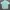 Lacoste Streetwear Casual Formal shirt Pria multicolor photo 6