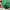 Stussy Vintage Y2K Hat Pria green photo 3