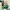 Stussy Vintage Y2K Hat Pria green photo 5