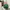 Stussy Vintage Y2K Hat Pria green photo 4