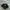 Adidas Streetwear Casual Hat Pria black photo 1