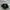 Adidas Streetwear Casual Hat Pria Black
